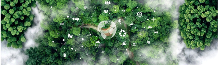 Vom Pflichtthema zum Wettbewerbsvorteil: ESG strategisch nutzen