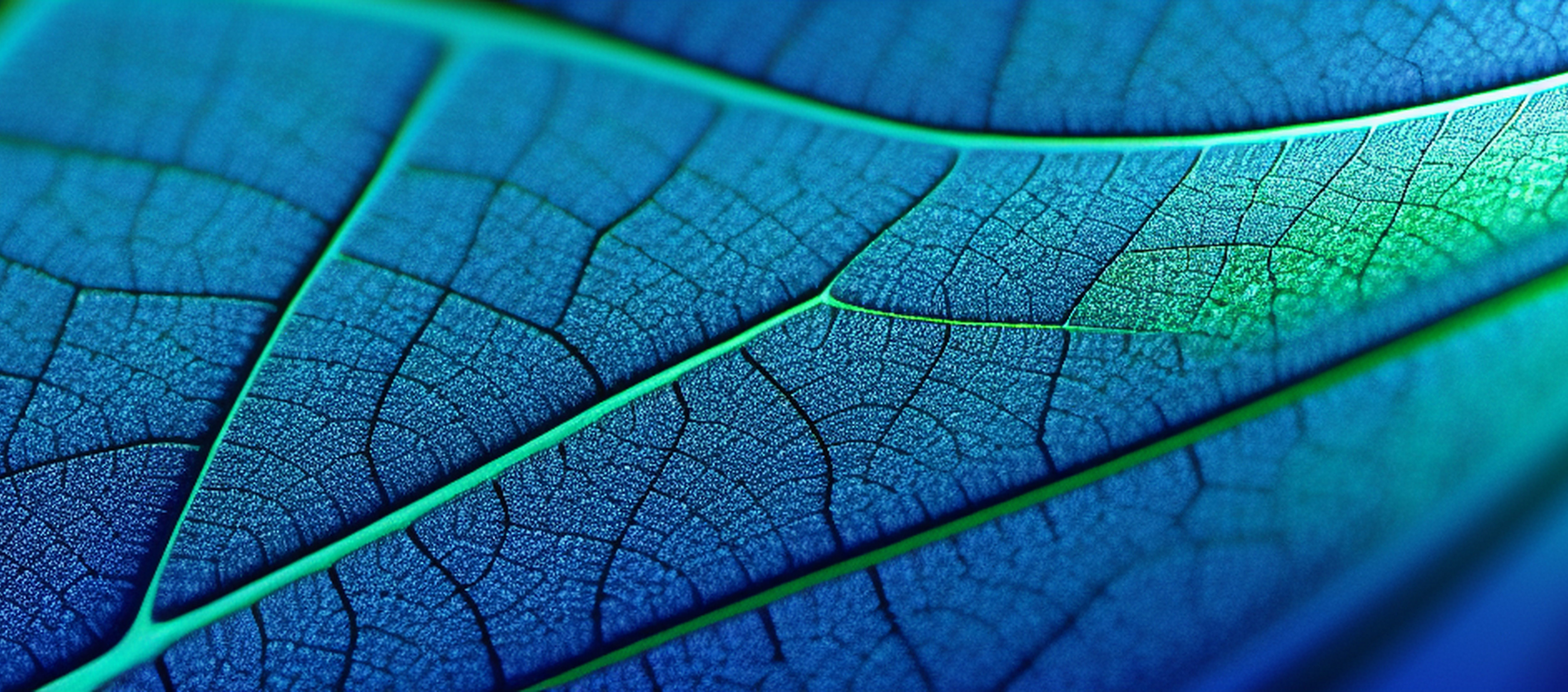 Prüfung der Klimabilanz – Vertrauen schaffen, Compliance sichern