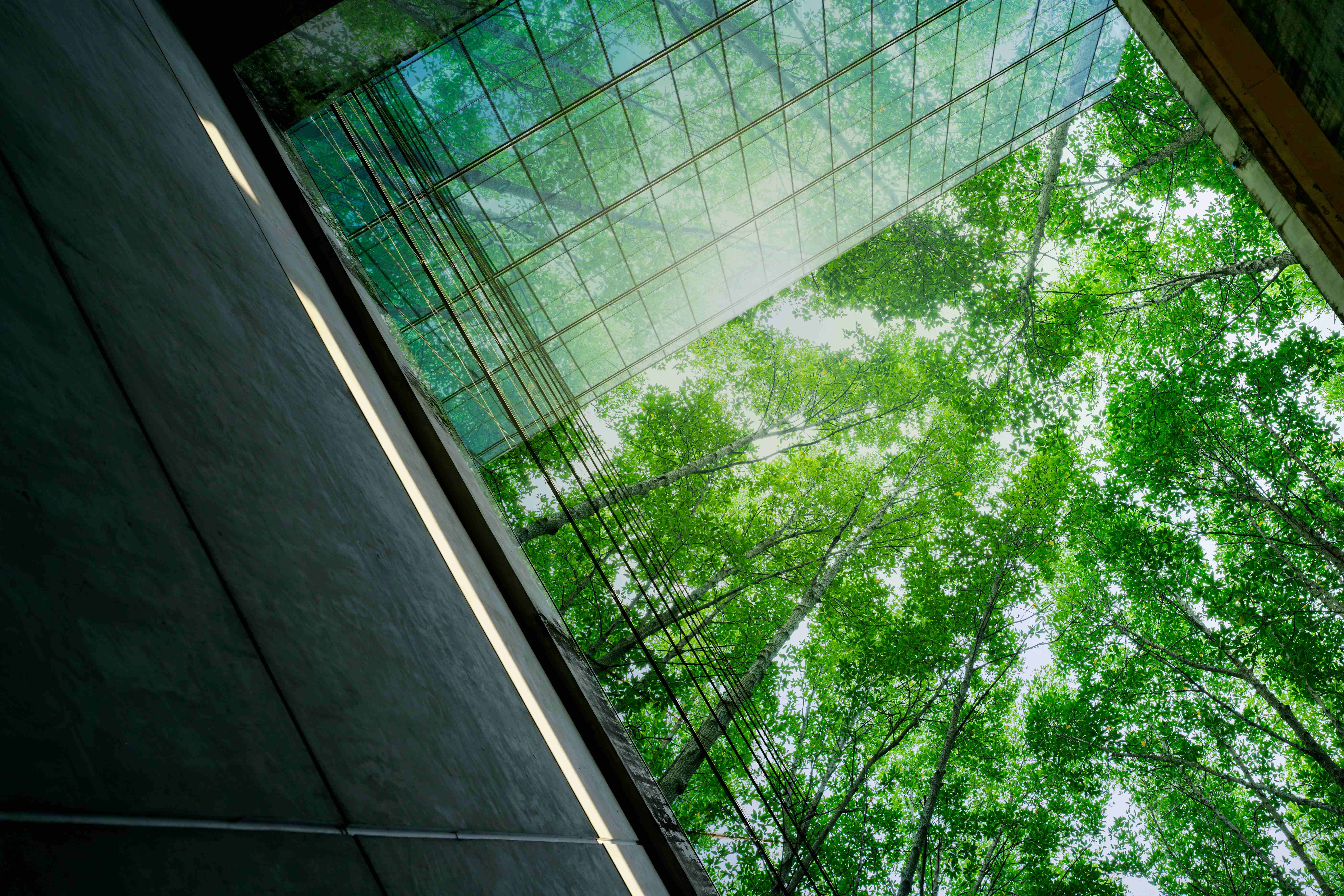 ESRS Quick Fix: Übergangserleichterungen für Unternehmen