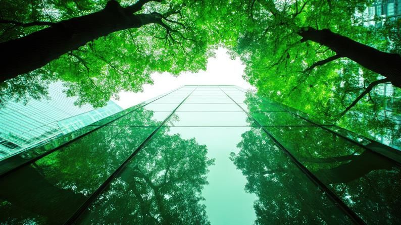 Klimaresilienz stärken: Wie können Unternehmen jetzt handeln?