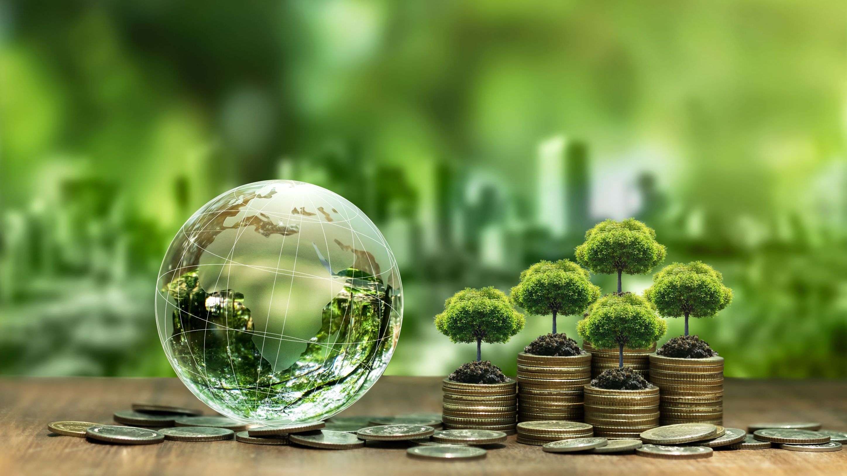  Photo: a transparent globe on coins and small trees growing on stacks of coins
