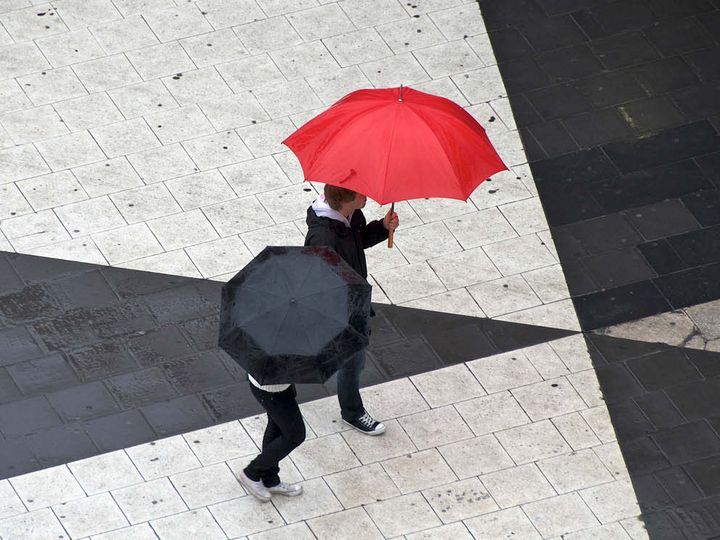 Fraud, Risk & Compliance Radar for corporate risks.
