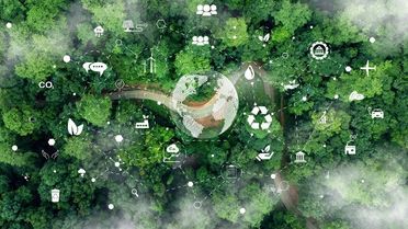 Das Bild zeigt eine dichte, sattgrüne Waldlandschaft aus der Vogelperspektive. Zwischen den Baumkronen liegt ein geschwungener Weg, der sich durch den Wald schlängelt. Am oberen und unteren Bildrand ist weißer Dunst zu sehen, der teilweise die Bäume verhüllt. In der Bildmitte ist eine transparente, stilisierte Weltkugel eingefügt. Um die Weltkugel herum schweben zahlreiche weiße Symbole. Diese stehen für Umwelt- und Nachhaltigkeitsthemen wie Recycling, erneuerbare Energien, Wasser, Natur, Transport, Landwirtschaft oder CO₂‑Reduktion. Die Symbole sind gleichmäßig um die Mitte verteilt und wurden digital eingeblendet.