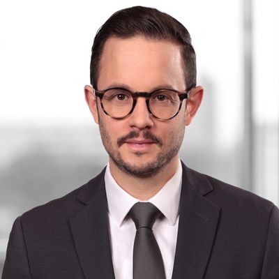 Dr. Hannes Wörner, LL.M.