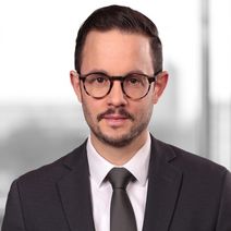 Dr. Hannes  Wörner, LL.M.
