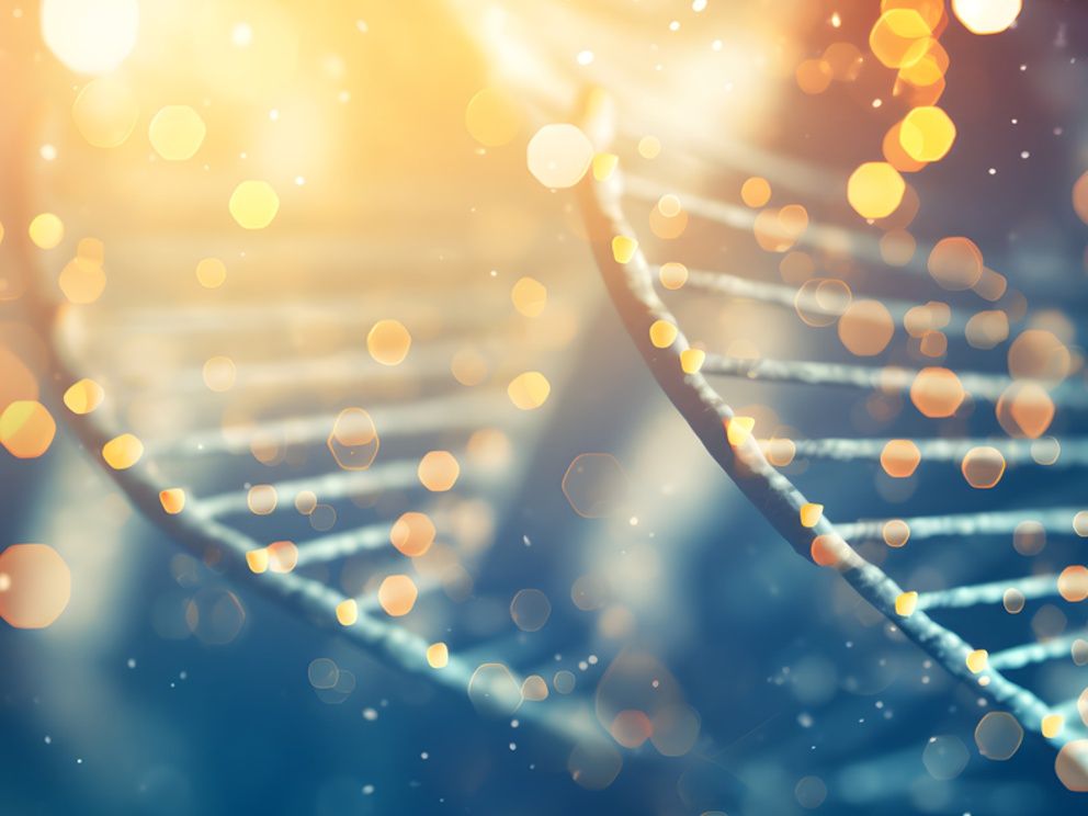Healthcare & Lifescience