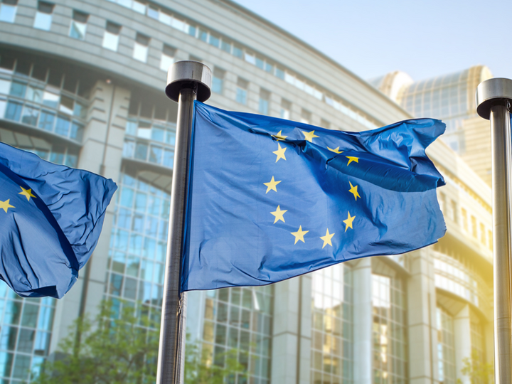 Anti-Tax Avoidance Directive (ATAD) EU-Steuerrecht