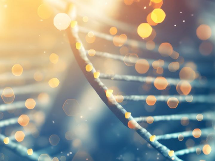Healthcare & Life Science Shaping change flexibly.