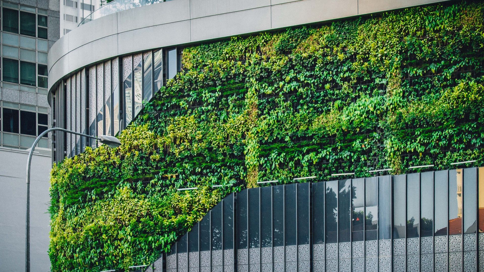 Foto: Eine begrünte Hausfassade mit gläsernen Panelen.