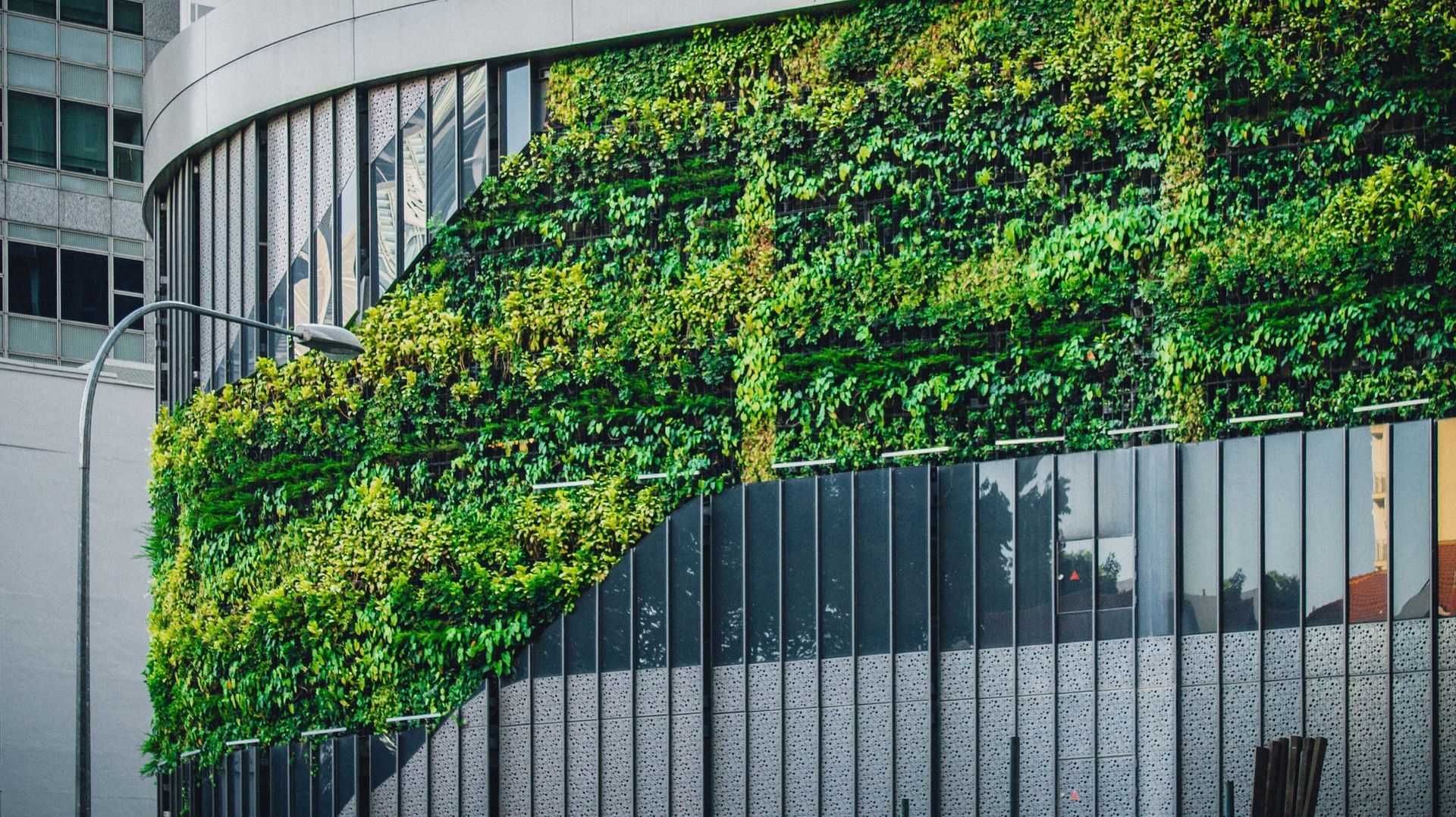 Foto: Eine begrünte Hausfassade mit gläsernen Panelen.